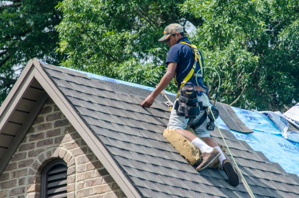 Best Storm Damage Roof Repair  in Lorton, VA