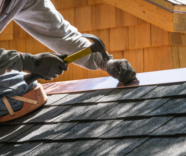 Roof Gutter Cleaning in Lorton, VA